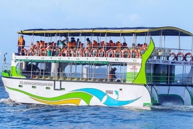 Whales and Dolphins Watching-Luxury Super Grade Cruiser(Hotel Pick up offered) - Key things I’d notice before you go