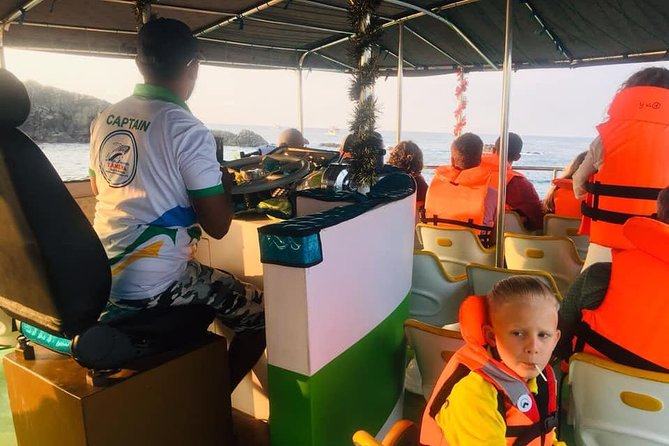 Whales and Dolphins Watching-Luxury Super Grade Cruiser(Hotel Pick up offered) - Responsible Whale Watching: How Rules Change the Vibe