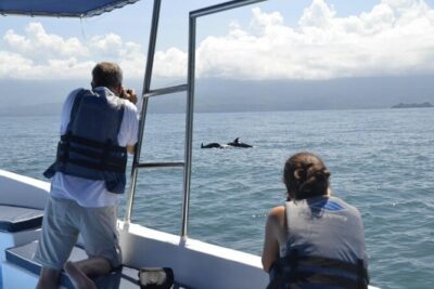 Whales and Dolphins watching Tour From Uvita - What happens on the boat: the rhythm of a real wildlife search