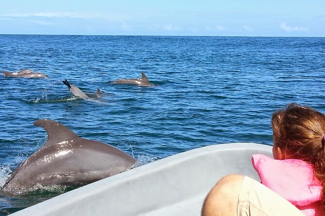 Whales and Dolphins watching Tour From Uvita - Snorkeling and cave visits: the part the ocean controls