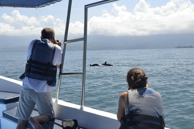 Whales and Dolphins watching Tour From Uvita - What happens on the boat: the rhythm of a real wildlife search