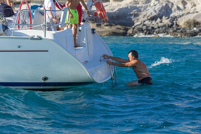 Whales & Dolphins watching in exclusive sailboat - Price and Value: Is $71.35 a Fair Deal?