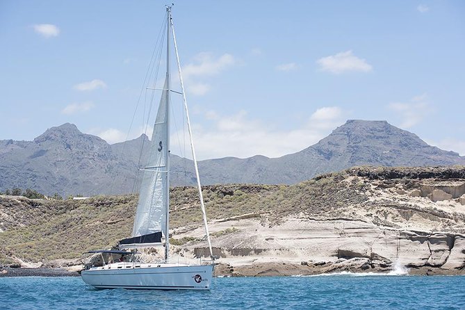 Whales & Dolphins watching in exclusive sailboat - Logistics That Matter: Tickets, Language, and What to Bring