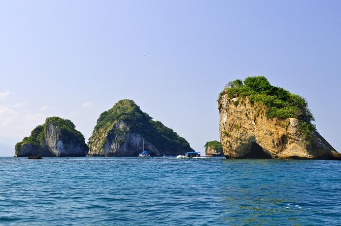 Wild Dolphin Encounter & Snorkeling Adventure - Key highlights to know before you go