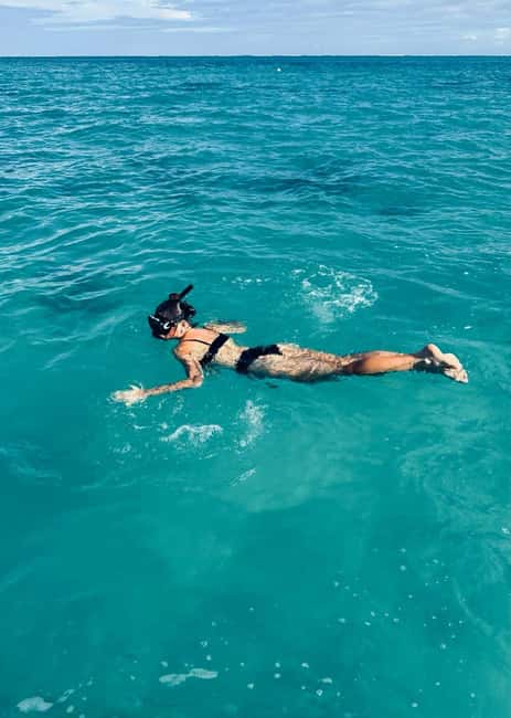 Wild Dolphin Encounter & Snorkeling Adventure – Mauritius. - Mauritius Sunrise Speedboat: What the 7:30 AM Start Really Means