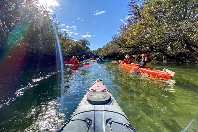 Wild Dolphin Swim Cruise - Price and value: what €88.44 covers (and what you’ll add)