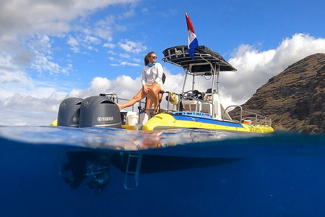Wild Dolphin Watching and Snorkel Safari Off West Coast of Oahu - West Oahu, Not the Crowds: Why Waianae Works So Well
