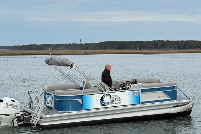 Wildlife Boat Tour with Wild Ponies and Dolphins in Chincoteague - Wildlife Boat Tour in Chincoteague: the big idea