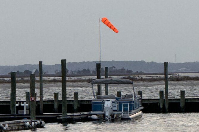 Wildlife Boat Tour with Wild Ponies and Dolphins in Chincoteague - Price and value: is $75 worth it?