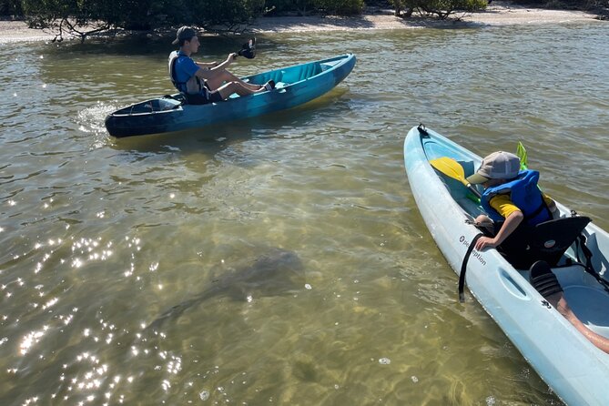 Wildlife Refuge Dolphin, Manatee & Mangrove Kayak or Paddleboarding Tour! - Safety and Comfort: Lifejackets, Dry Bags, and What to Bring