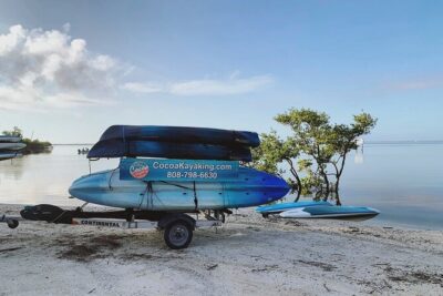 Wildlife Refuge Dolphin, Manatee & Mangrove Kayak or Paddleboarding Tour! - Mangroves at Dusk: What You’re Really Here to See