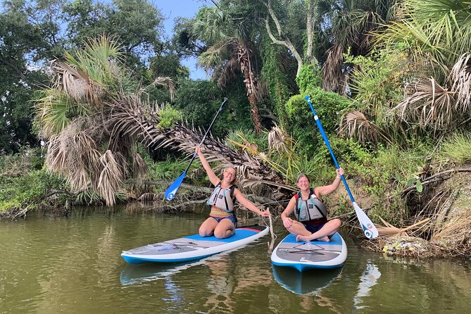 Wildlife Refuge Dolphin, Manatee & Mangrove Kayak or Paddleboarding Tour! - Wildlife Watching That Actually Works