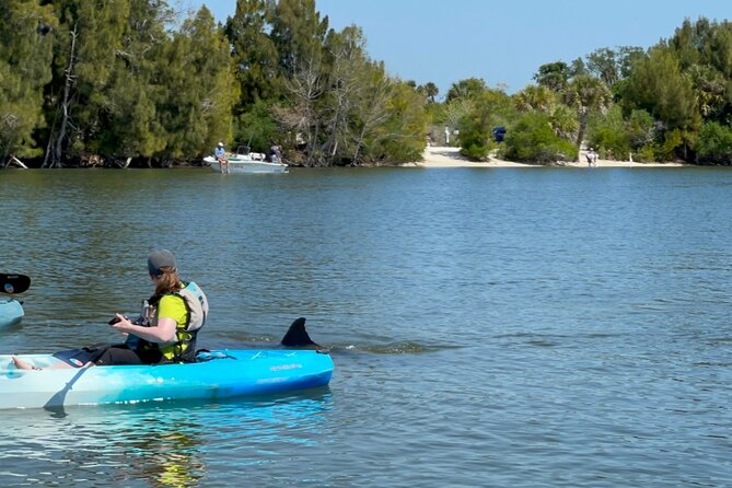 Wildlife Refuge Dolphin, Manatee & Mangrove Kayak or Paddleboarding Tour! - Price and Value: Is $50 a Good Deal?