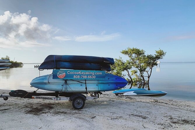 Wildlife Refuge Dolphin, Manatee & Mangrove Kayak or Paddleboarding Tour! - Mangroves at Dusk: What You’re Really Here to See