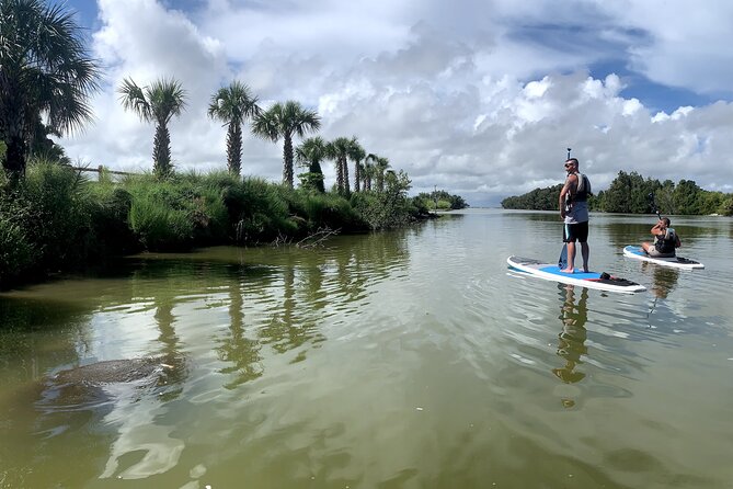 Wildlife Refuge Sunset Dolphin, Manatee & Mangrove Kayak or Paddleboarding Tour! - Key things that make this tour worth your time