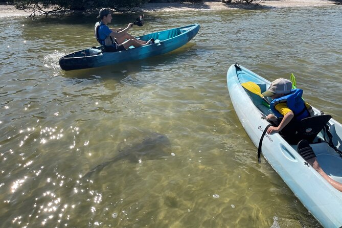 Wildlife Refuge Sunset Dolphin, Manatee & Mangrove Kayak or Paddleboarding Tour! - Sunset Kayak vs. SUP: how you’ll feel on the water