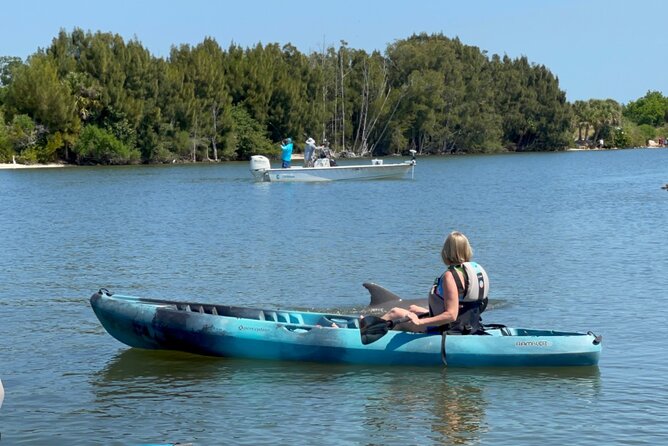 Wildlife Refuge Sunset Dolphin, Manatee & Mangrove Kayak or Paddleboarding Tour! - Paddling through mangroves: why the “tunnel” matters