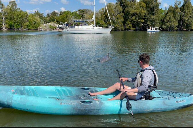 Wildlife Refuge Sunset Dolphin, Manatee & Mangrove Kayak or Paddleboarding Tour! - Photos included: how that changes the value