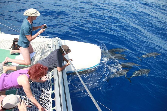 Wines Tasting Experience and Skywalk with Dolphin Watching - A Winemaking Day on Madeira: What You’re Really Getting