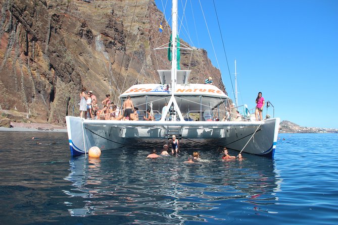 Wines Tasting Experience and Skywalk with Dolphin Watching - Jeep Detours to São Vicente Caves: North-Coast Views Plus Vineyards