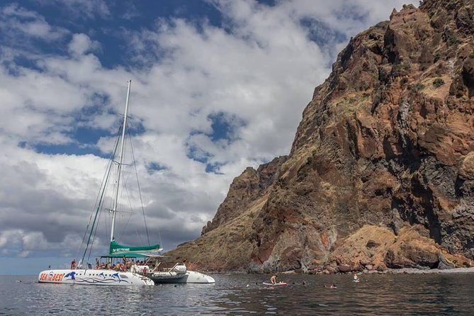 Wines Tasting Experience and Skywalk with Dolphin Watching - Dolphin and Whale Watching Cruise: Fun Ocean Time With Mixed Commentary