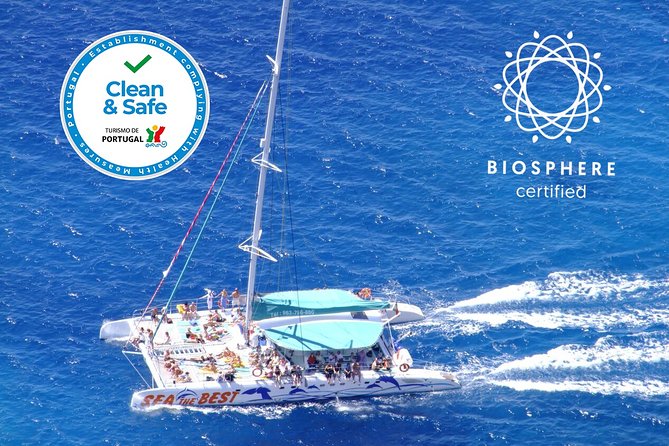 Wines Tasting Experience and Skywalk with Dolphin Watching - Guides, Group Size, and Comfort Details That Actually Matter