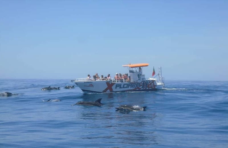 X Plorer – Caves (Benagil) & Dolphins Cruise - A 2.5-hour Algarve cruise that feels practical, not tour-bus slow