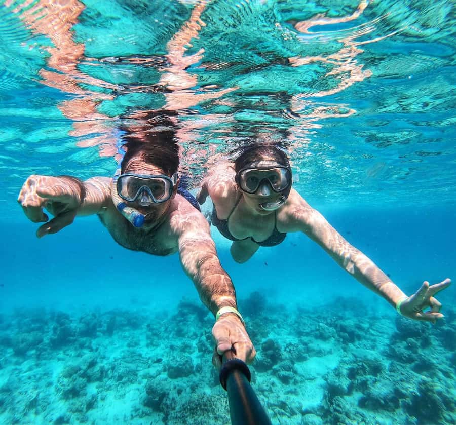 Zanzibar dolphins+ snokling at mnemba with turles swimming - Dolphin time on the route: what you can actually expect