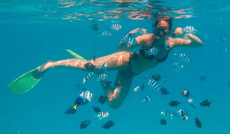 Zanzibar dolphins+ snokling at mnemba with turles swimming - What to wear and bring (based on what you’ll do)