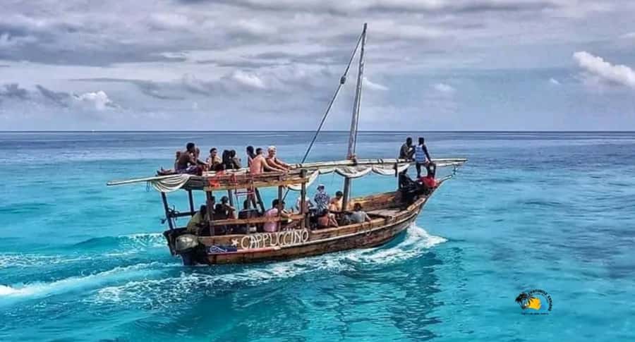 Zanzibar: Mnemba Dolphins Tour with Snorkeling and Sandbank - The sandbank stop: why tide decides what you actually get