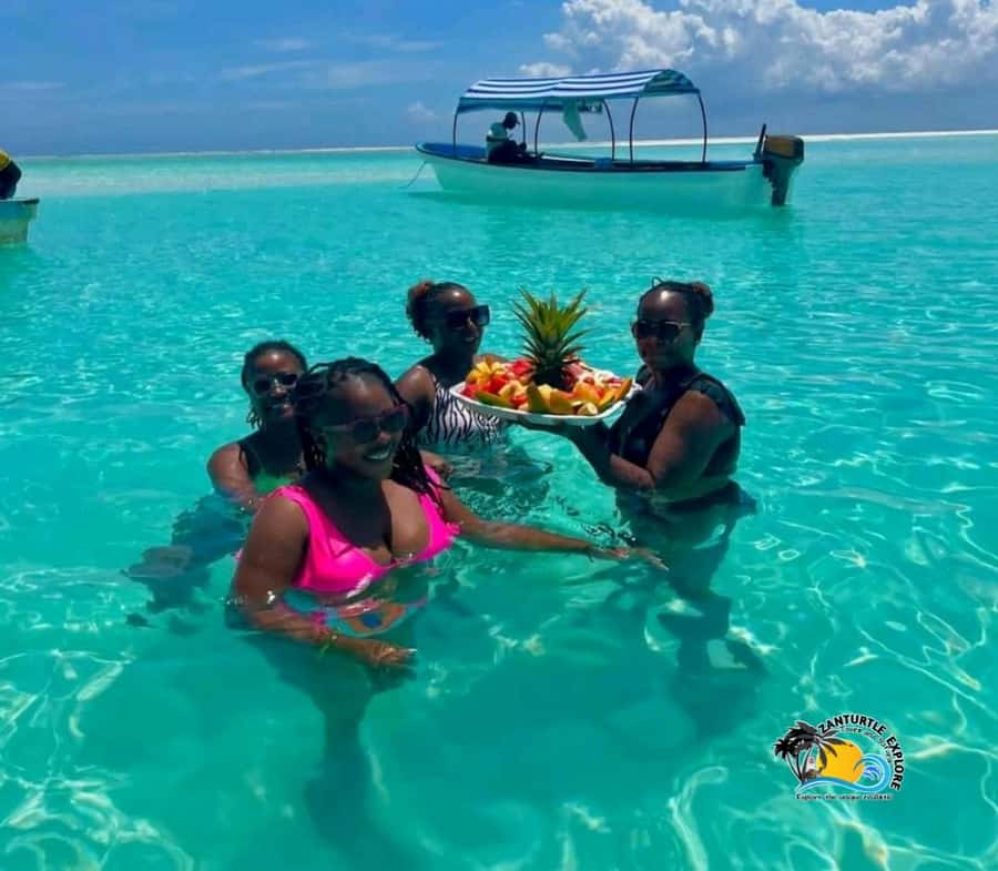 Zanzibar: Mnemba Dolphins Tour with Snorkeling and Sandbank - Should you book this tour?