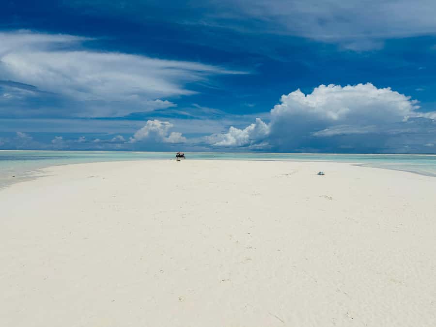 Zanzibar: Mnemba Island Dolphin and Snorkeling Tour - Mnemba Island beach time: sandbanks, fruit, and coastal views