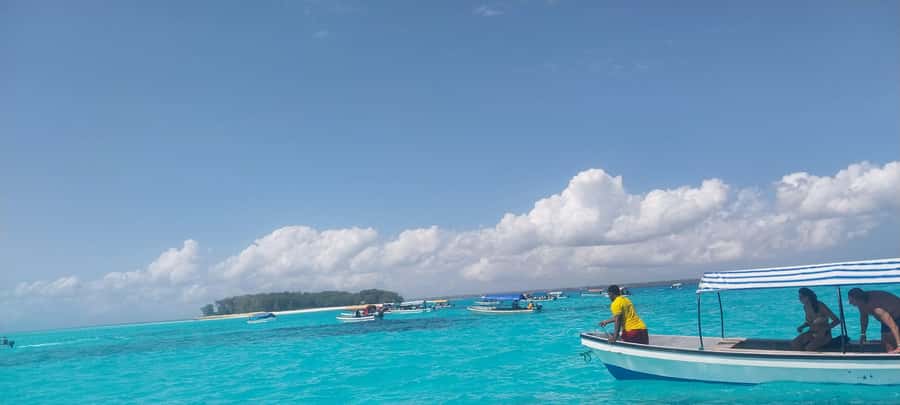 Zanzibar: Mnemba Island Dolphin and Snorkeling Tour - Who should book this, and who might be disappointed