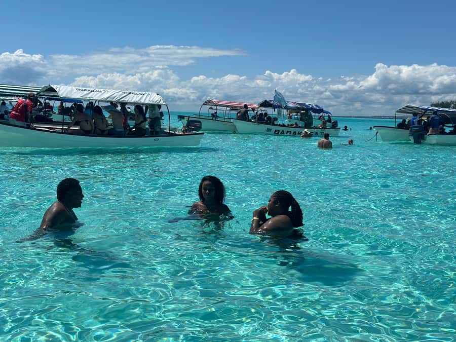 Zanzibar: Mnemba Island Dolphin and Snorkeling Tour - Should you book ZANFAA Tours and Travel for Mnemba dolphins and snorkeling?