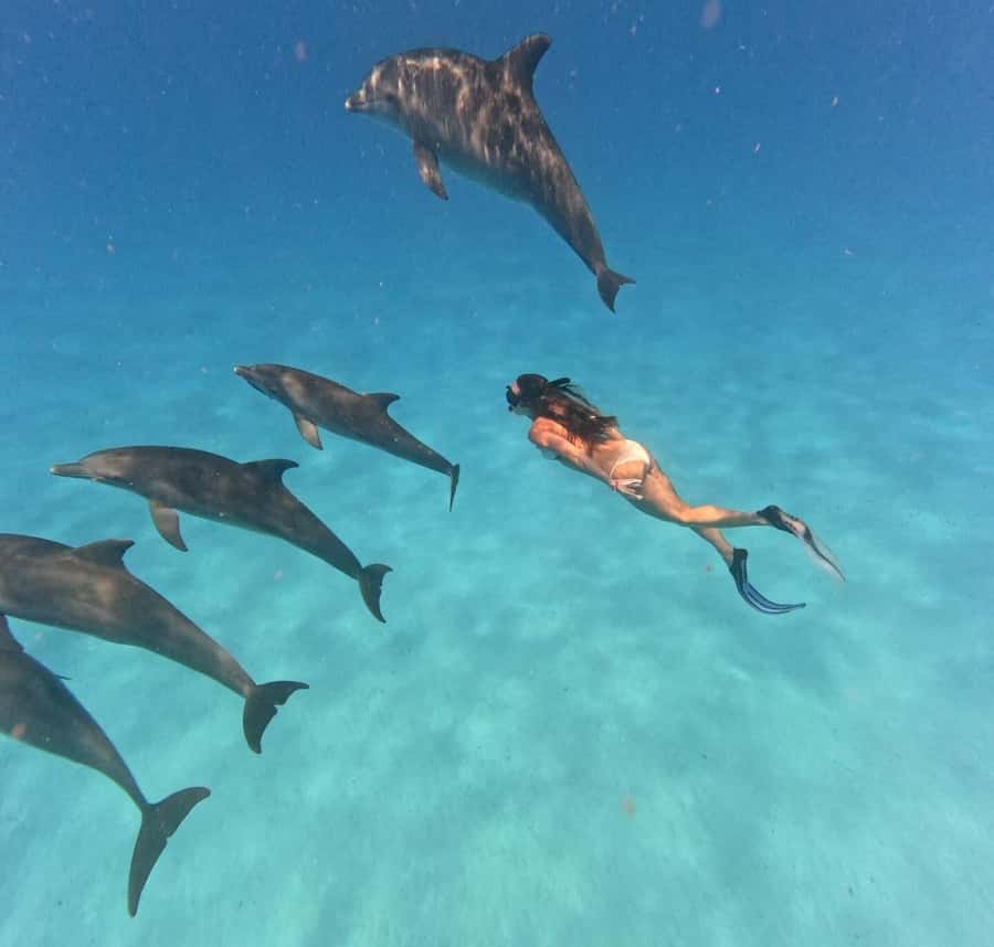 Zanzibar: Mnemba Island&Dolphin Swim With Optional Lunch - From Nungwi or Muyuni: how the day actually starts