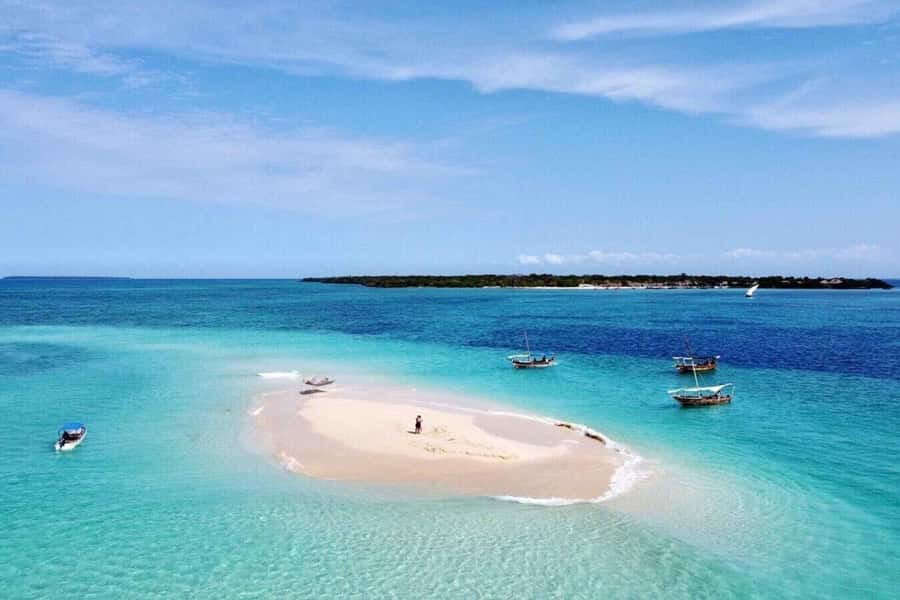 Zanzibar: Mnemba Island&Dolphin Swim With Optional Lunch - Snorkeling at Mnemba Atoll: coral, fish, and gear you should inspect