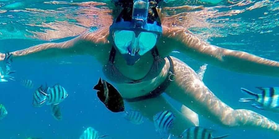 Zanzibar: Mnemba Island&Dolphin Swim With Optional Lunch - Guides and languages: getting what you paid for