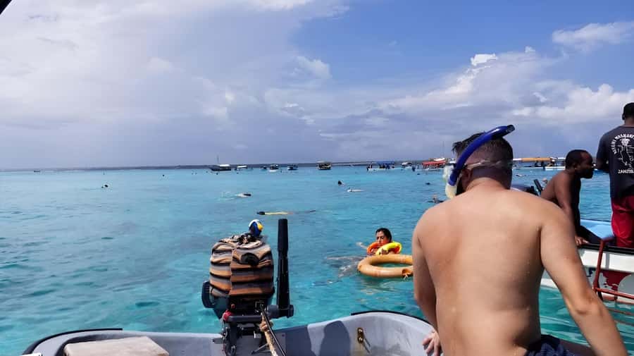 Zanzibar: Mnemba Island&Dolphin Swim With Optional Lunch - Price and value: how $18 fits into a Zanzibar day