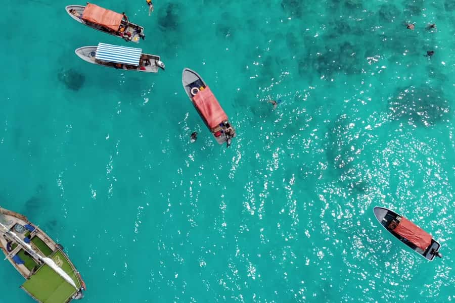 Zanzibar: Mnemba Island&Dolphin Swim With Optional Lunch - Who this tour suits best (and who should skip it)