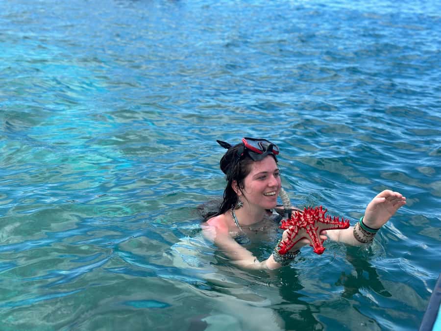 Zanzibar: Mnemba Island&Dolphin Swim With Optional Lunch - Dolphin swim with real odds: what you can do before you get in