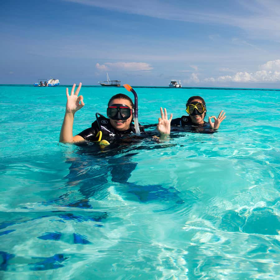 Zanzibar: Mnemba Island Snorkeling and Dolphin Tour - Seafood Lunch on the Beach: Good Food, Real Timing