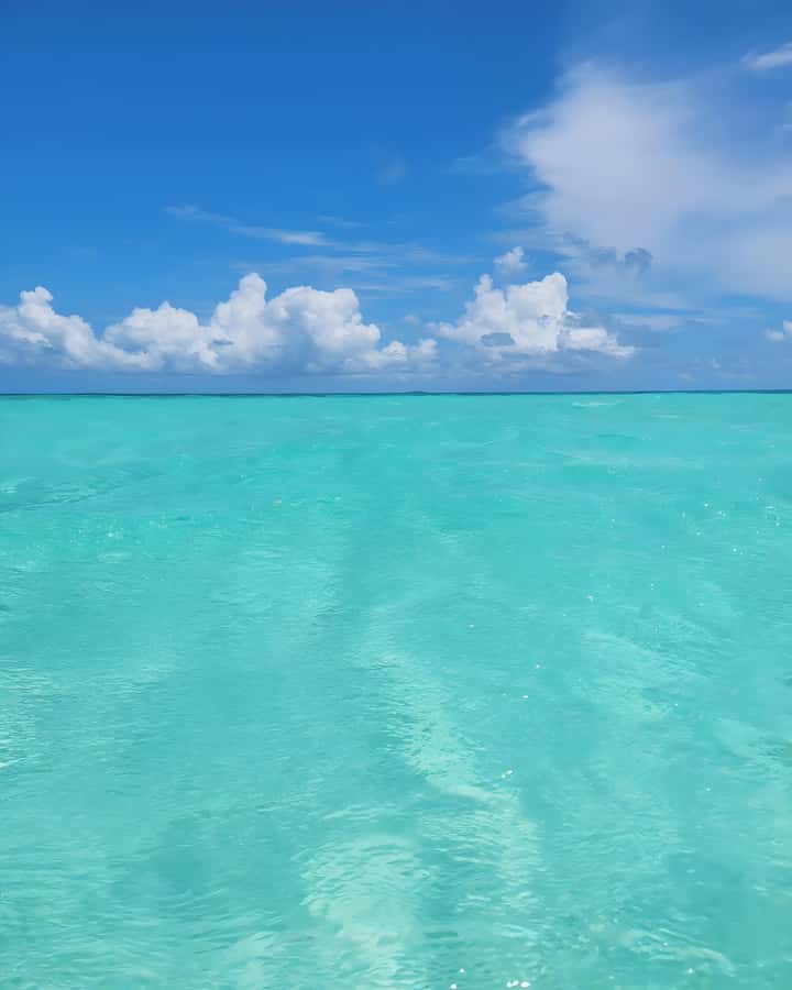 Zanzibar: Mnemba Island Snorkeling and Dolphin Tour - Boat Ride Back and Hotel Drop-Off