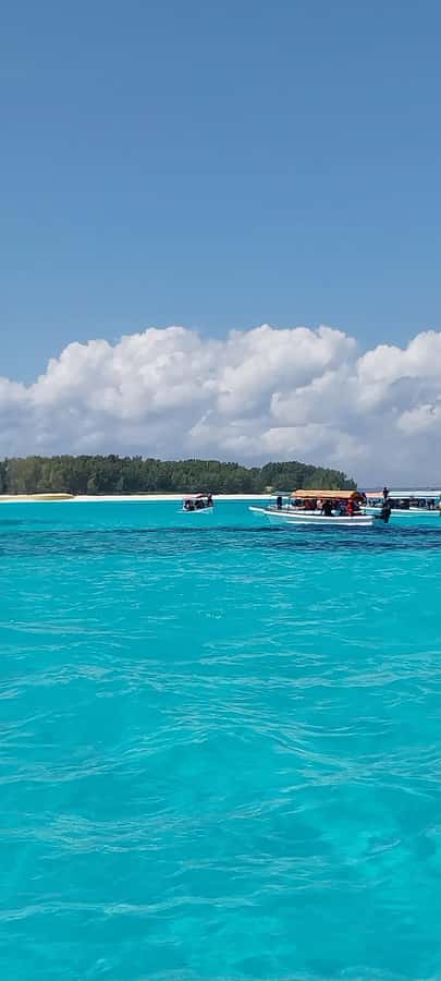 Zanzibar: Mnemba Island Snorkeling & Dolphin - What to Bring for a Comfortable Mnemba Day