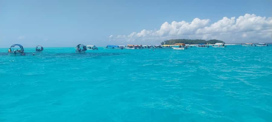 Zanzibar: Mnemba Island Snorkeling & Dolphin - Should You Book Mnemba Island Snorkeling and Dolphins?