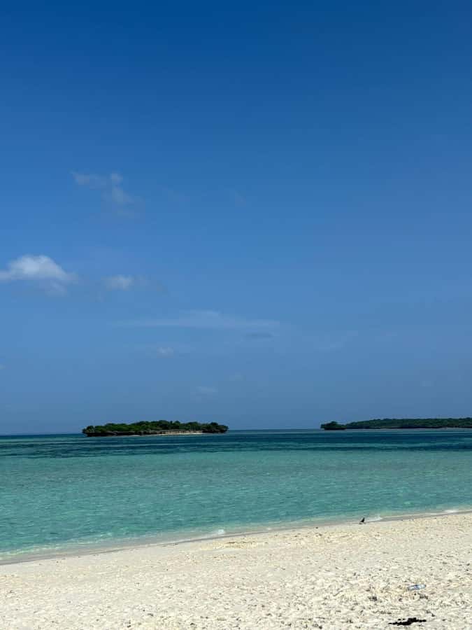 Zanzibar: Pungume island-dolphin watching - BBQ Lunch - Key things that make this tour worth your time