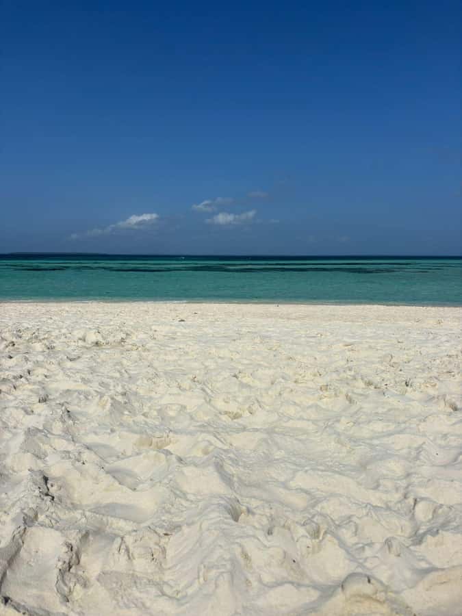 Zanzibar: Pungume island-dolphin watching - BBQ Lunch - The Dolphin Watching Section: What to Expect (and How to Maximize Your Odds)