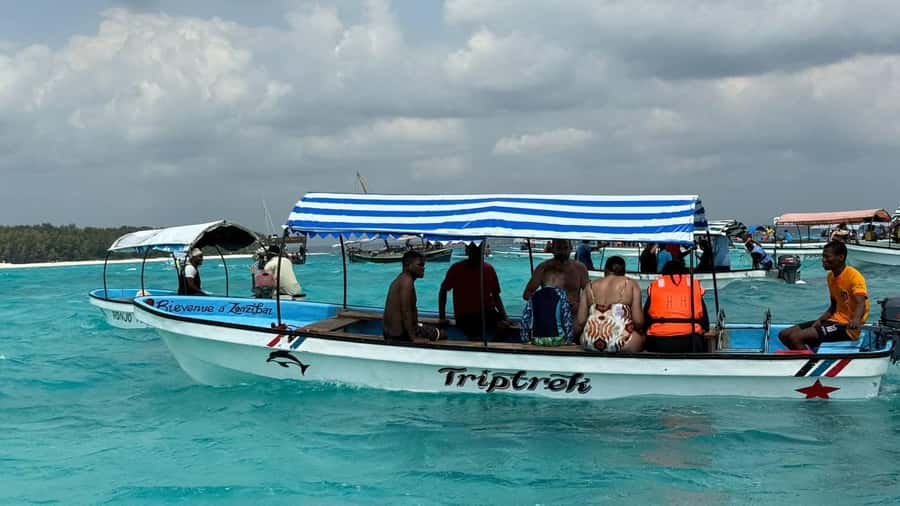 Zanzibar: Pungume island-dolphin watching - BBQ Lunch - What to Bring (and What to Skip) for a Smooth Day