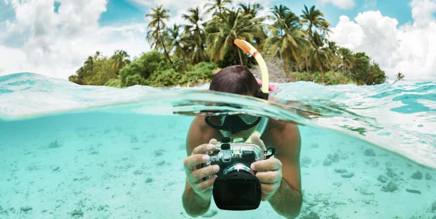 Zanzibar : Swim with dolphin + Snorkel mnemba coral Reef - Key points before you go