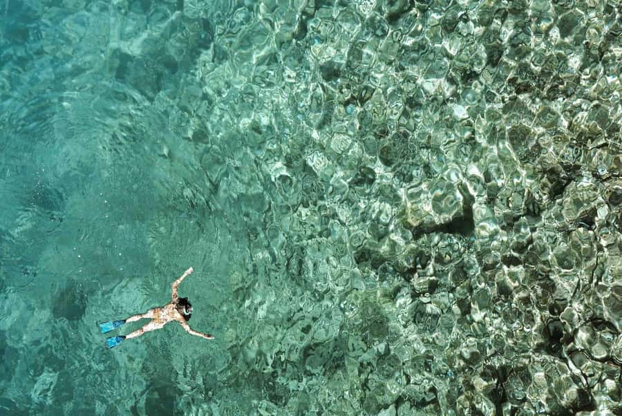 Zanzibar : Swim with dolphin + Snorkel mnemba coral Reef - What happens in the water: guided snorkeling that actually helps you see stuff