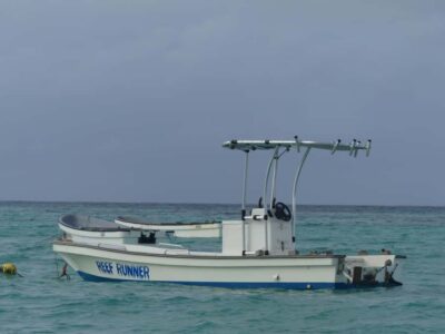 Zanzibar: Swimming with Dolphins and Snorkeling Private Tour - Hotel pickup in air-conditioned comfort (and the two likely starting villages)